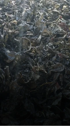 Sucata shredder